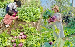 Lần đầu trồng rau nản muốn bỏ, vườn của bà mẹ Quảng Ninh hiện giờ khiến bao người mê