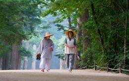 Đưa du khách vào chùa tu: Mô hình du lịch 'gây sốt' ở Hàn Quốc