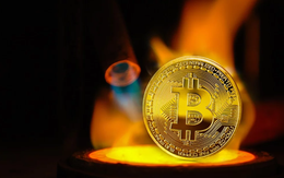 Giá Bitcoin hôm nay 8/9: Bitcoin lao dốc, thị trường đỏ lửa