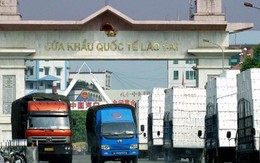 Nông sản Việt Nam xuất khẩu sang Trung Quốc dự báo ‘bùng nổ’