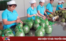 GDP ngành nông nghiệp tăng cao nhất 3 năm