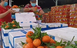 Nhiều loại trái cây tăng giá trước ngày đưa ông Táo