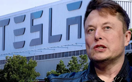 Tesla của Elon Musk đang suy sụp: Từ người tiên phong thành kẻ già nua, 3 năm không ra mắt được mẫu xe mới nào, nhà đầu tư tức giận, khách hàng chán nản