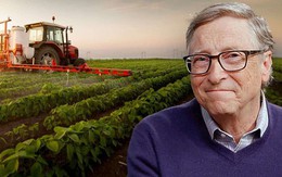 Chịu đủ “búa rìu dư luận” khi sở hữu 110.000 mẫu đất nhưng Bill Gates vẫn chẳng là gì so với các chủ đất này