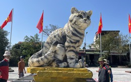 Chủ nhân linh vật mèo nhận mưa lời khen ở Quảng Trị lên tiếng