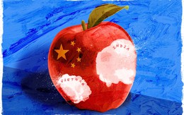 Việt Nam đang sở hữu 'miếng táo' như thế nào trong chuỗi cung ứng toàn cầu của Apple?