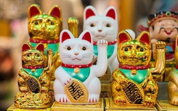 Maneki-neko: Tượng mèo may mắn nổi tiếng của Nhật Bản và câu chuyện ít người biết về nguồn gốc ra đời