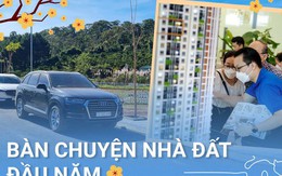 “Bắt mạch” thị trường nhà đất đầu năm Quý Mão 2023