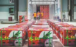 Hoa quả Việt ùn ùn xuất sang Trung Quốc trong 2 ngày Tết