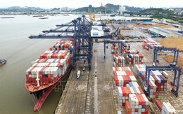 Cảng Cái Lân bốc xếp 113.000 tấn hàng rời