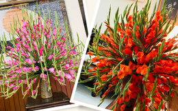 Mẹ ở Hải Phòng khoe cách cắm hoa lay ơn tỏa trăm bông đón Tài Lộc vào nhà
