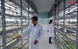 TP Hồ Chí Minh: Đẩy mạnh ứng dụng công nghệ cao vào nông nghiệp