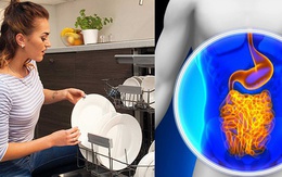 Viện Nghiên cứu Dị ứng và Hen suyễn cảnh báo: Máy rửa bát có khả năng tàn phá ruột và âm thầm gây nên các bệnh mạn tính
