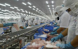 Mỹ, Trung Quốc 'soán ngôi' nhập khẩu thủy sản Việt Nam