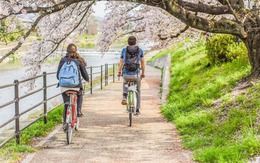 Nhật Bản: Chuyện về chiếc xe đạp và những luật lệ kỳ lạ, mua xe cũ khó khăn hơn tậu nhà mới