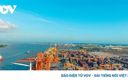 Vận tải biển, cảng biển vẫn là điểm sáng kinh tế trong năm 2023