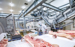 Triển vọng sáng năm 2023 của doanh nghiệp sản xuất thịt