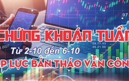 Infographic chứng khoán tuần 2-10 đến 6-10: Áp lực bán tháo vẫn còn?