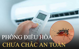 Nằm phòng điều hòa có thể tránh muỗi 100% hay không: Chuyên gia tiết lộ sự thật giật mình