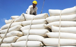 Indonesia xác nhận sẽ nhập khẩu 1,5 triệu tấn gạo từ Việt Nam và Thái Lan