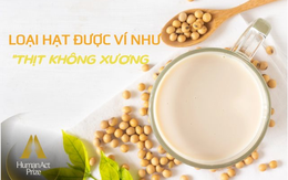 Một loại hạt giàu dinh dưỡng được ví như “thịt không xương”: Ở Việt Nam có một thương hiệu quốc gia, nỗ lực hơn 1 thập kỷ để phát triển bền vững vùng nguyên liệu
