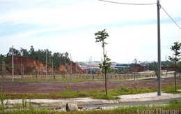 Đà Nẵng: Nghịch lý doanh nghiệp thiếu đất mà cụm công nghiệp lại không có đường vào