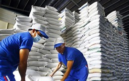 Bất ngờ về những thị trường lớn nhất nhập khẩu gạo Việt Nam