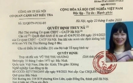 "Nổ" là phó tổng tập đoàn, người phụ nữ lừa bạn đại học hơn 32 tỉ đồng