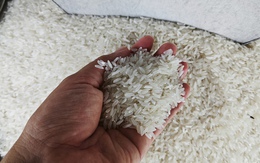 Vì sao giá gạo tăng trở lại?
