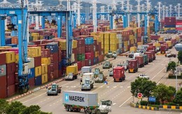 Bất ngờ về 4/5 container nông sản xuất khẩu tưởng đã mất trắng ở Dubai
