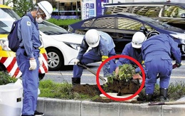 Nhật Bản huy động công nhân 'cứu' quả dưa hấu mọc giữa đường