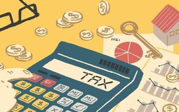 Xáo trộn top 1.000 doanh nghiệp nộp thuế lớn nhất: Hoa Sen, Masan, Viettel Global, Bitexco, Fe Credit vắng mặt, Hòa Phát, Formosa Hà Tĩnh, Aeon, Tiktok xuất hiện