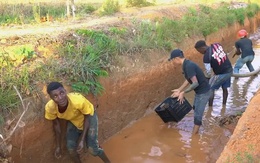 Quang Linh Vlog vừa qua châu Phi, nông trại đã "có biến", hàng chục người nhảy xuống mương