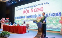 Phó Thống đốc Đào Minh Tú: Có thể xem xét hạ lãi suất khi có điều kiện, đảm bảo kiểm soát lạm phát,  nguồn vốn và thanh khoản