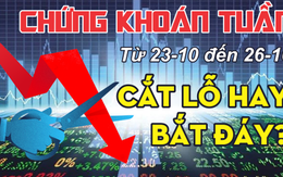 Chứng khoán tuần tới 23-10 đến 26-10: Cắt lỗ hay bắt đáy?