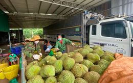 Xuất khẩu nông sản sang Trung Quốc lập kỷ lục