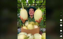 TikTok giúp bà con nông dân thu hơn 100 tỷ hàng OCOP, riêng Thịt chua Phú Thọ, Thốt nốt An Giang… tăng trưởng 200-400% với doanh số vài tỷ/tháng