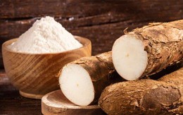Giá xuất khẩu trên đỉnh lịch sử, doanh nghiệp sản xuất tinh bột sắn lớn nhất Việt Nam vẫn báo lãi sụt giảm 64%