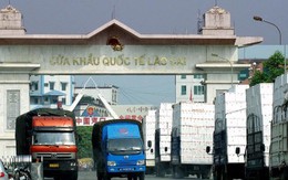 Xuất khẩu rau quả của Việt Nam đạt kỷ lục chưa từng có