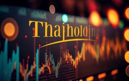 Thaiholdings lãi trước thuế tăng hơn 60% so với cùng kỳ
