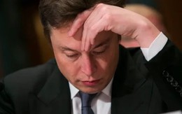 Trong lúc Elon Musk ‘suýt khóc’ nói về tình hình bết bát của Tesla, BYD chứng kiến lợi nhuận kỷ lục, doanh số cao nhất mọi thời đại