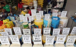 Philippines dỡ bỏ trần giá gạo sau 1 tháng áp dụng