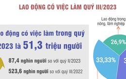 Quý III/2023: 51,3 triệu lao động có việc làm