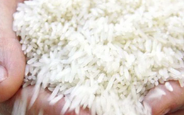 Philippines tăng mua gạo Việt Nam