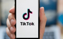 Bộ Thông tin và Truyền thông công bố loạt vi phạm của TikTok tại Việt Nam