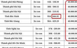 Phiên đấu giá biển số xe ô tô có đến 21/32 biển 'đồng giá' 40 triệu gồm cả biển tam hoa, tứ quý