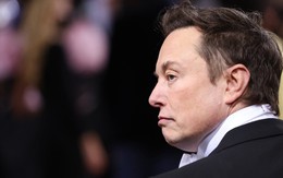 Doanh thu Twitter giảm tất cả các tháng kể từ khi về tay Elon Musk