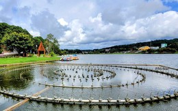 Cận cảnh công trình nhạc nước 10 tỉ đồng "đắp chiếu" trên hồ Xuân Hương