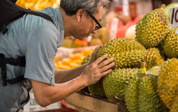 Một loại trái cây vua của Việt Nam xuất khẩu tăng 14 lần, đưa xuất khẩu nông sản vững vàng đi qua giông bão