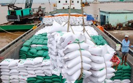 Xuất khẩu gạo 10 tháng thu về 4 tỷ USD